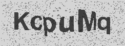 CAPTCHA Image